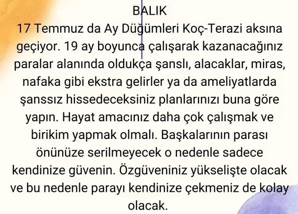 ay24 (14).webp