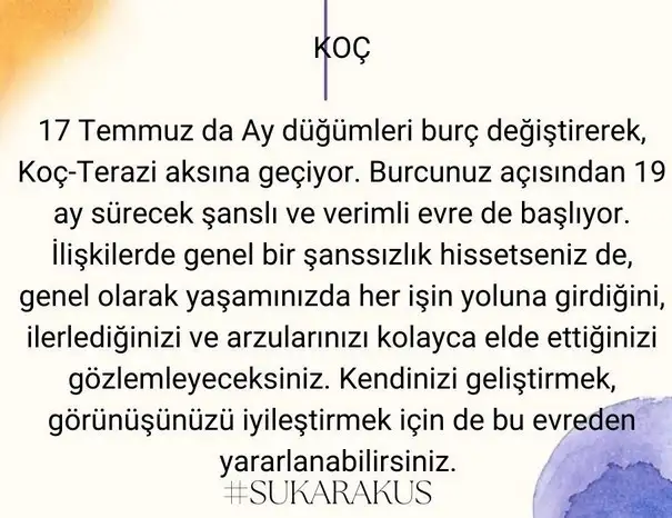 ay24 (2).webp