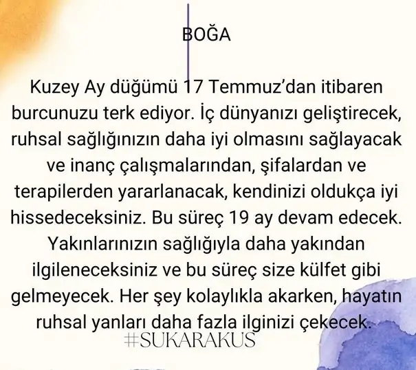 ay24 (3).webp