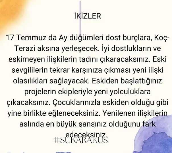 ay24 (4).webp
