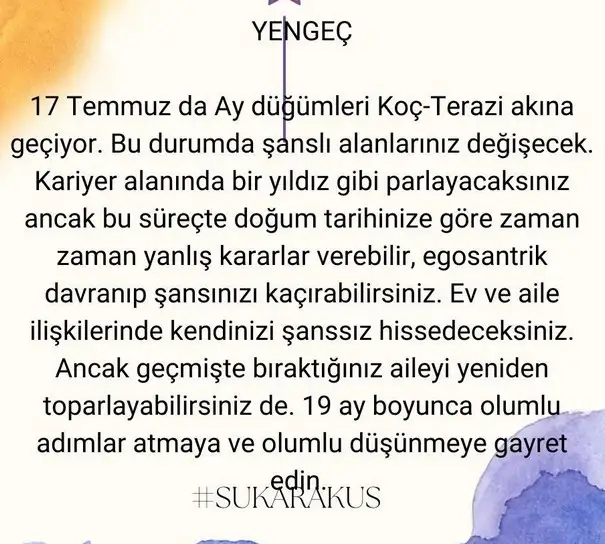 ay24 (5).webp