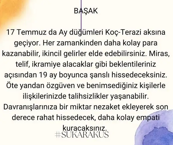 ay24 (7).webp