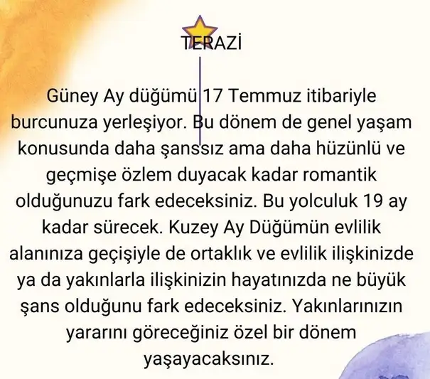 ay24 (8).webp