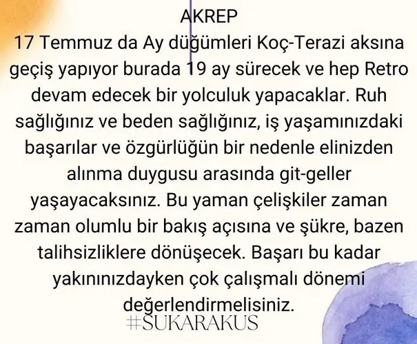 ay24 (9).webp