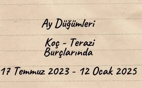 ay3 (1).webp