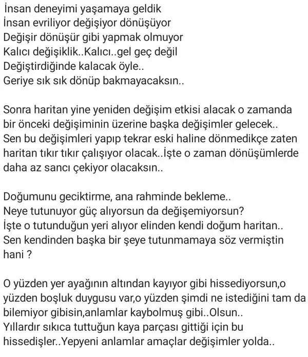 ay3 (1).webp