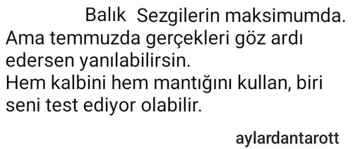 ay3 (3).webp
