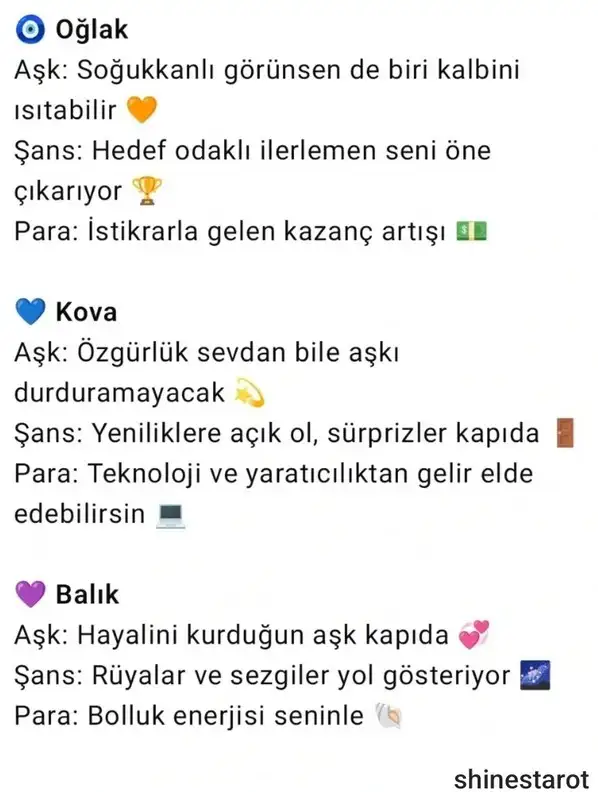ay3 (4).webp