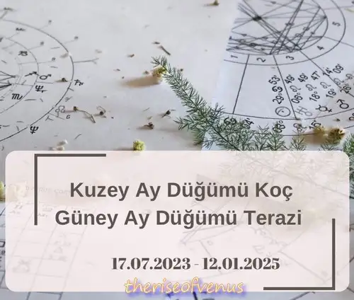 ay32 (3).webp