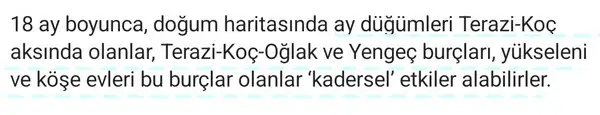 ay32 (4).webp