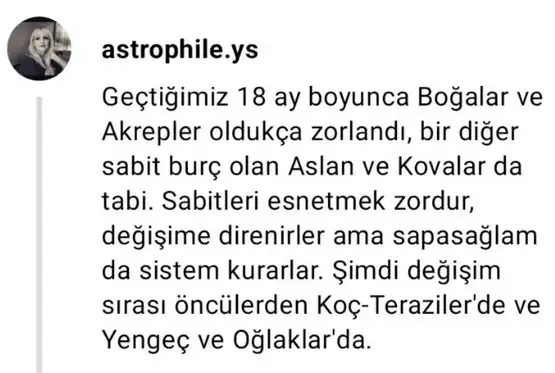 ay32.webp