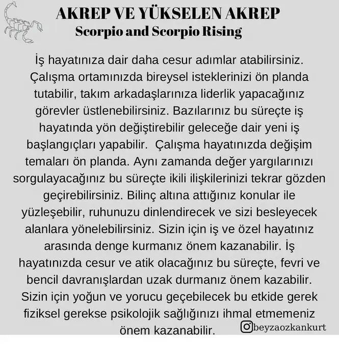 ay4 (10).webp