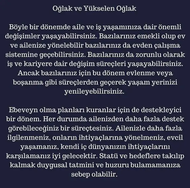 ay4 (11).webp