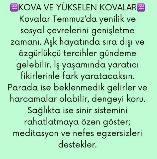 ay4 (11).webp