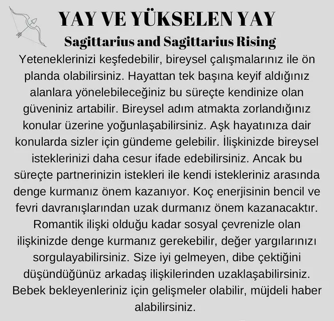 ay4 (12).webp