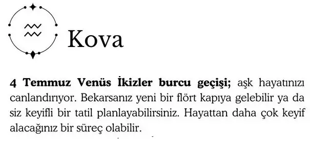 ay4 (12).webp
