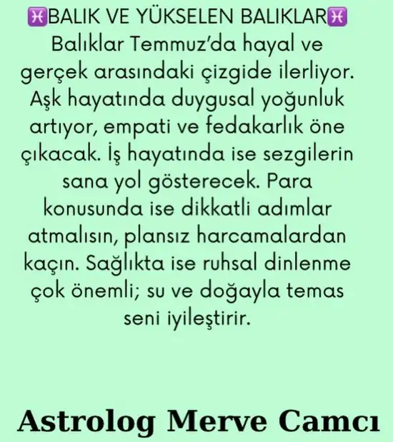 ay4 (12).webp