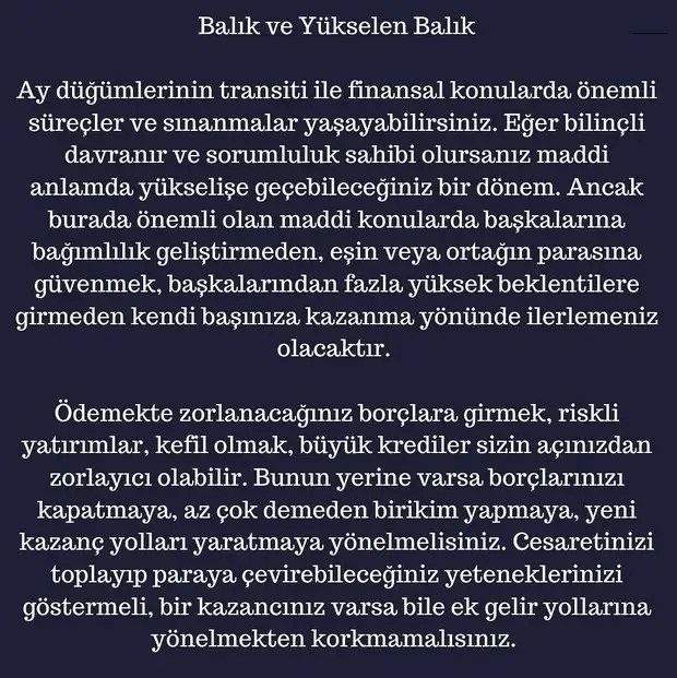 ay4 (13).webp