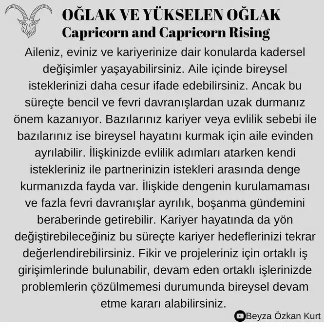 ay4 (13).webp