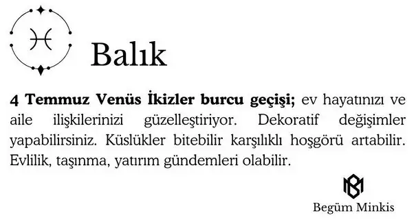 ay4 (13).webp