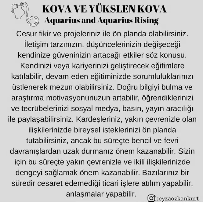 ay4 (14).webp