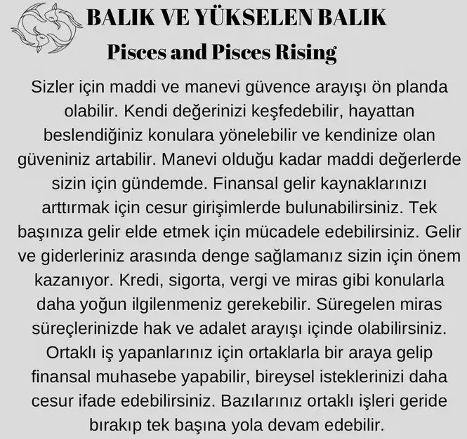 ay4 (15).webp