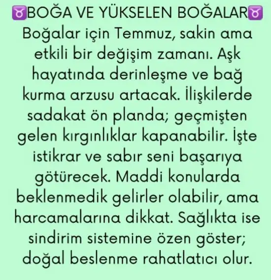 ay4 (2).webp