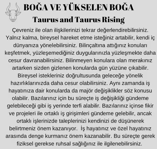 ay4 (4).webp