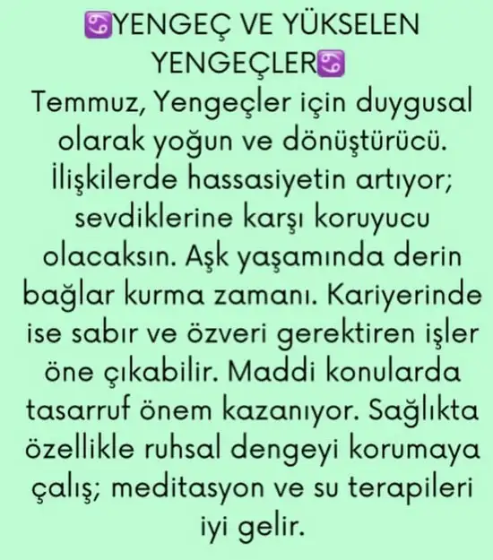 ay4 (4).webp