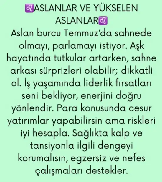 ay4 (5).webp