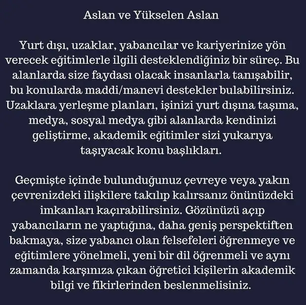 ay4 (6).webp