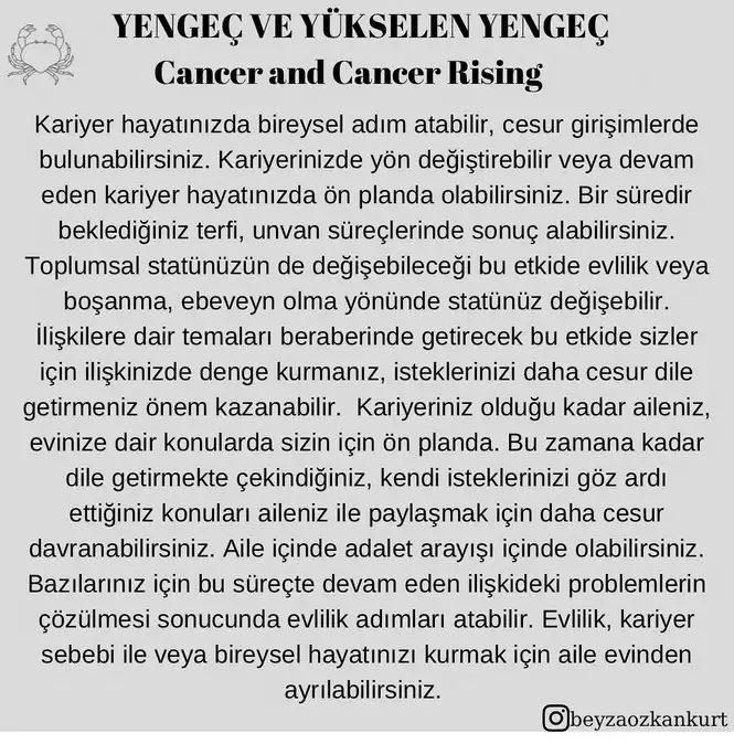 ay4 (6).webp