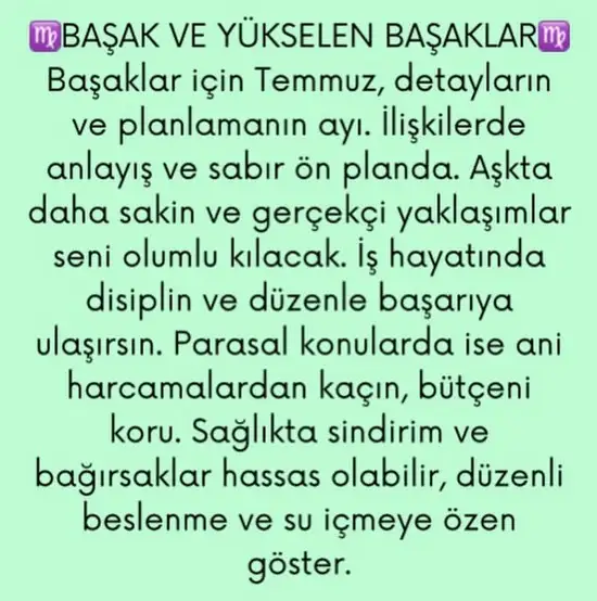 ay4 (6).webp