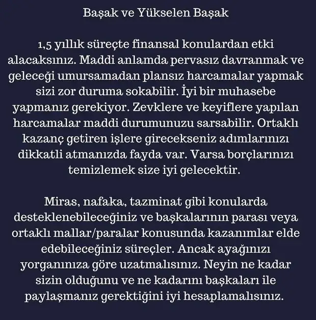 ay4 (7).webp