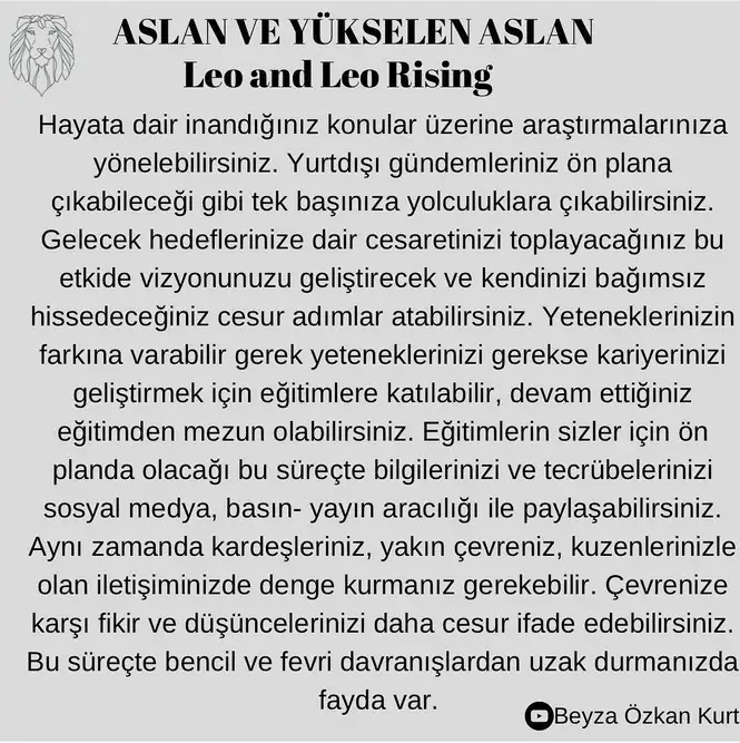 ay4 (7).webp