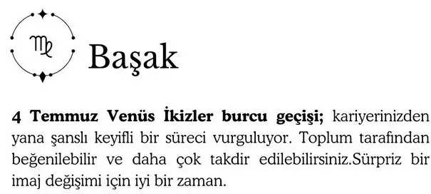 ay4 (7).webp