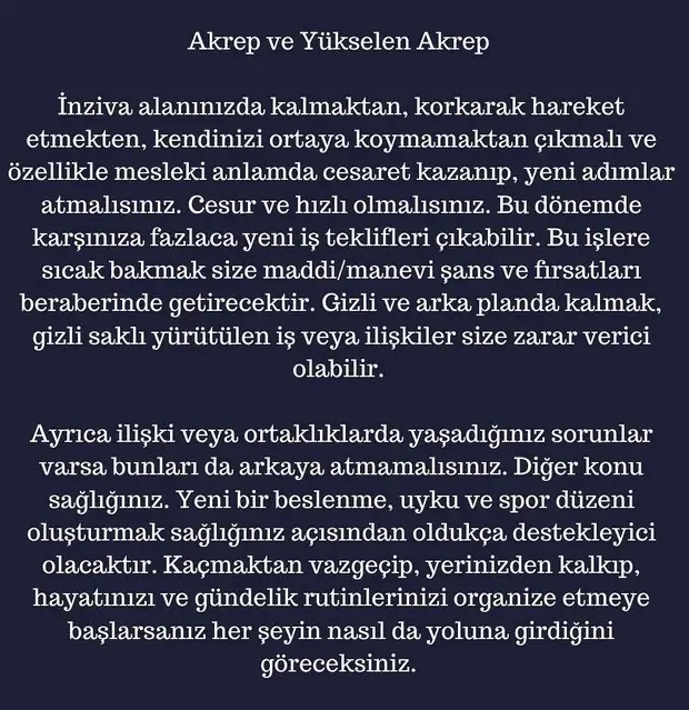 ay4 (9).webp