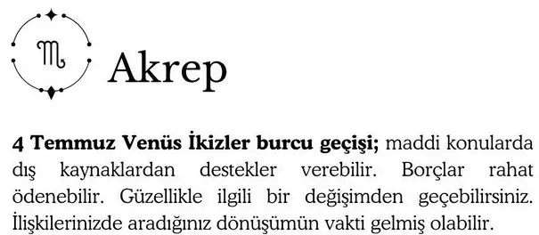 ay4 (9).webp