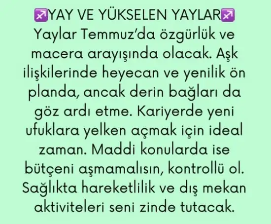 ay4 (9).webp