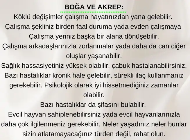 ay40 (2).webp