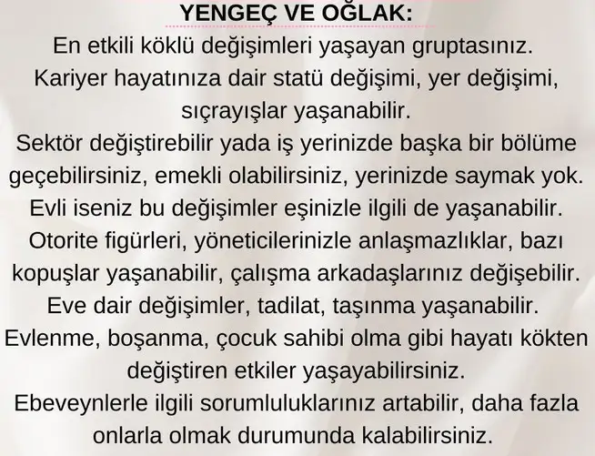 ay40 (4).webp