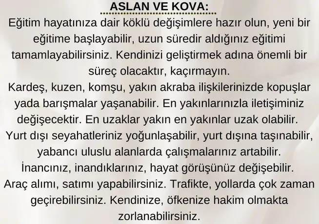 ay40 (5).webp