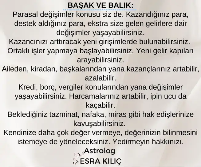 ay40 (6).webp