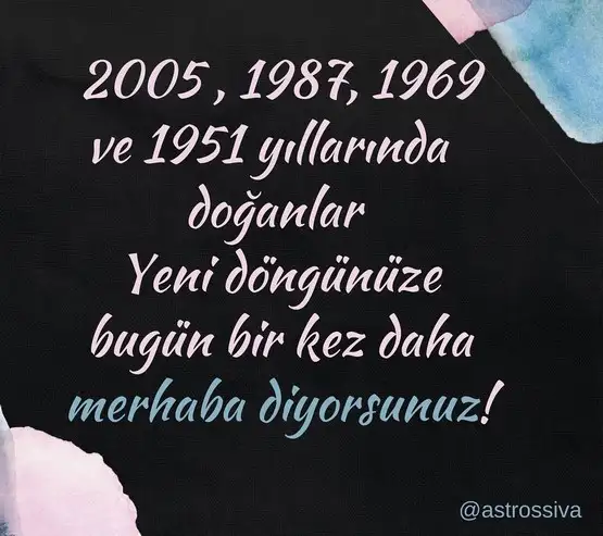ay41 (1).webp