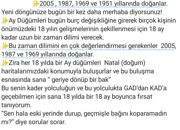 ay41 (2).webp