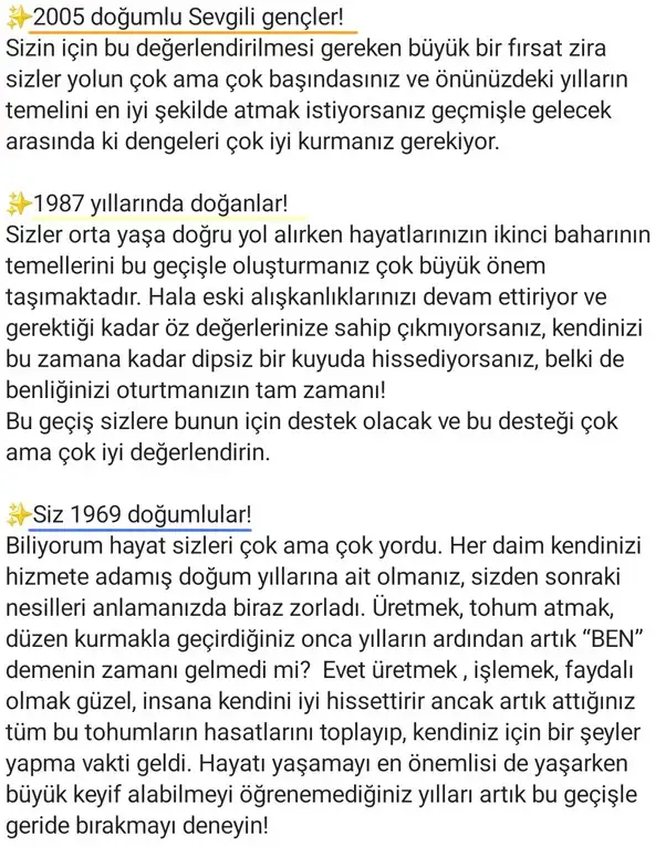 ay41 (3).webp