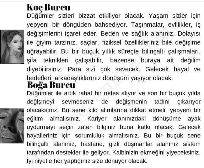 ay43 (1).webp