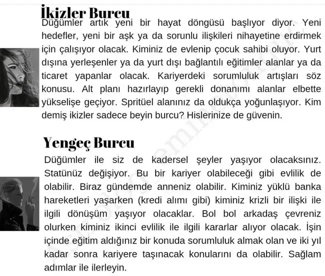 ay43 (2).webp