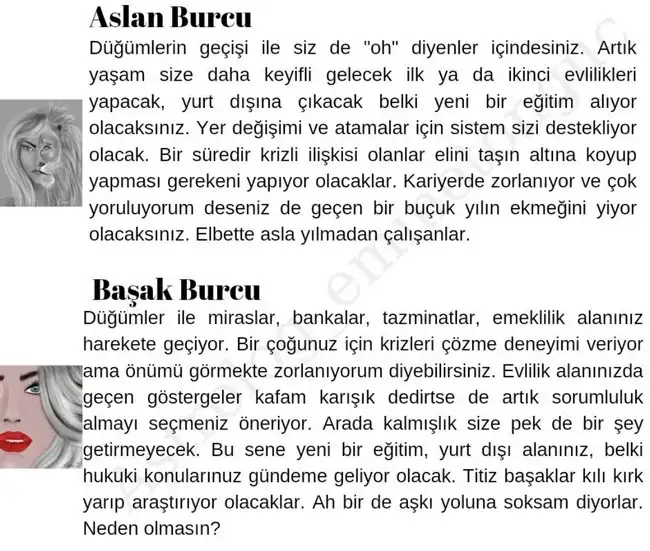 ay43 (3).webp