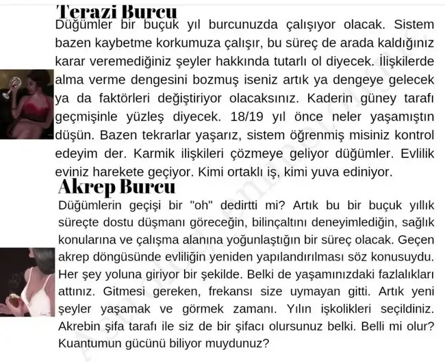 ay43 (4).webp
